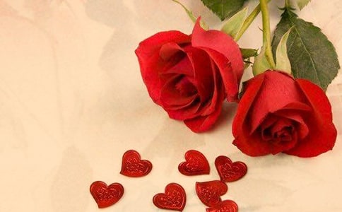 ���ں����uõ�廨��������`���