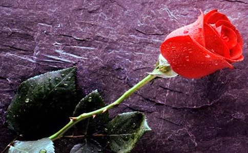 �ǵ��õ��Ԋ��