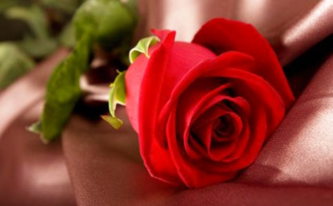 獨(dú)一無(wú)二的玫瑰