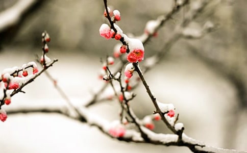 �P(gu��n)�ڴ���÷����Ԋ(sh��)��