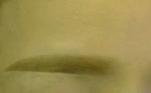 С�W(xu��)���꼉����600�֣��۾������ӡ����������üë