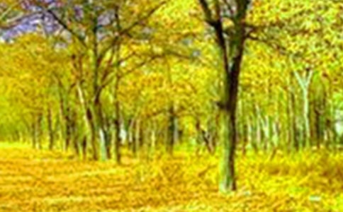 �茑�Ꭷ���������ľ���