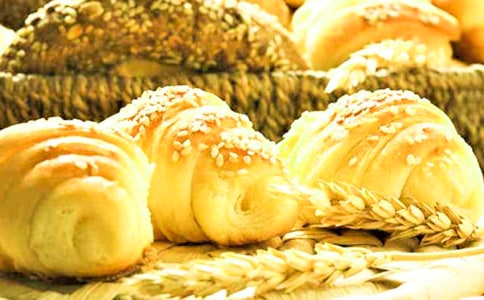 �Լ����������