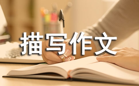 高一人物描寫作文800字【三篇】