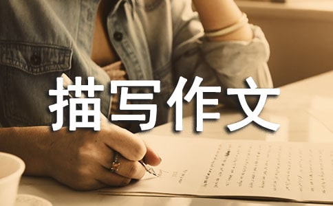 �ҵĽ�������茑���ģ����x32ƪ��