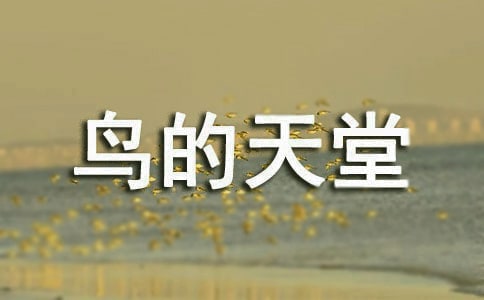 五年級上冊語文鳥的天堂說課稿范文(精選30篇)