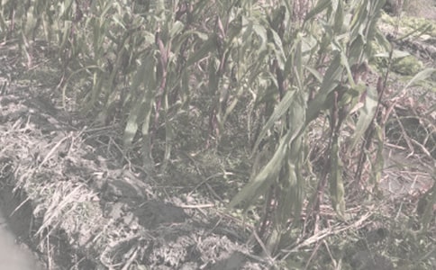 �r(n��ng)����N�Ӽӹ���ͬ����