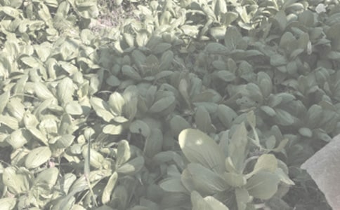 �r(n��ng)����ُ�N��ͬ��(5ƪ)