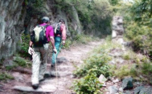 �ҽ���ɽ����x���𰸅���