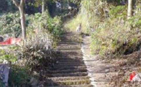 高一爬山作文600字