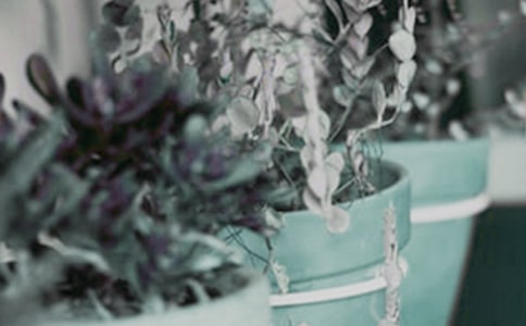 ����ϲ�g���������꼉����