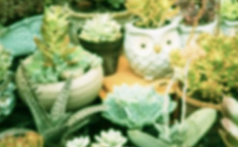 ����С�W(xu��)����