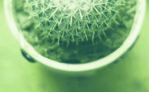 �������ԾGС�W(xu��)����