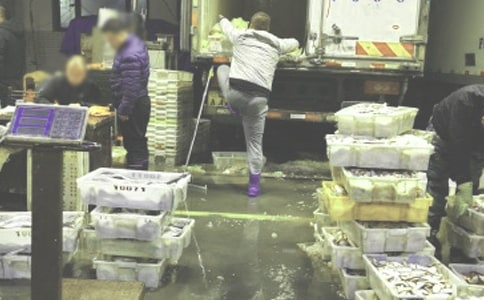 ���aƷ���l(f��)ُ�N��ͬ���������x6ƪ��