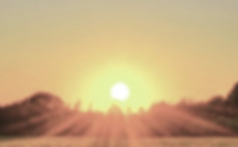 破曉的幸福高一作文