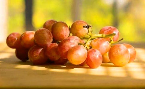 葡萄種植勞務(wù)承包協(xié)議書(shū)(推薦)