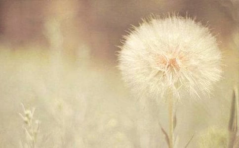 ���P(gu��n)�ѹ�Ӣ����ӛ