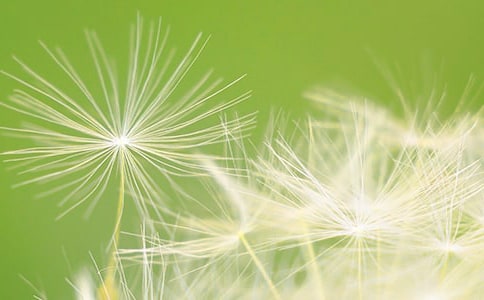 ���꼉(j��)���ѹ�Ӣ���f�n��