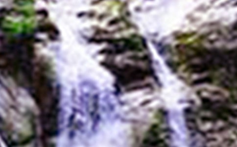 �茑�ٲ���(y��u)�����ӿ��Y(ji��)