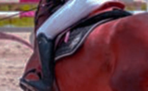 ���x�T�R����600��8ƪ