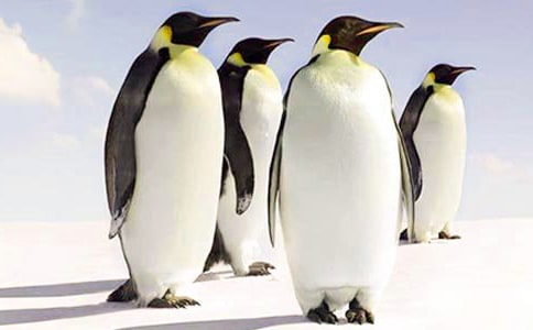 �^���������Z�Ŀ��ԡ��и�600��