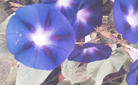 С�W(xu��)���꼉(j��)���ģ�������