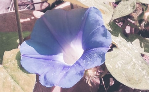 �à��������