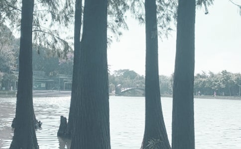 ���˵�ǧ�������꼉(j��)����