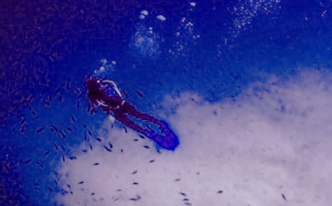 ��һ�Ν�ˮ���ľ��x7ƪ