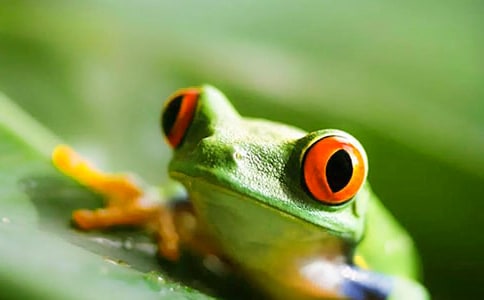 ��С���ܡ��̰�8ƪ