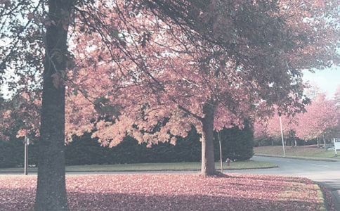 �＾�W(xu��)�ڽ̌W(xu��)����Ӌ��