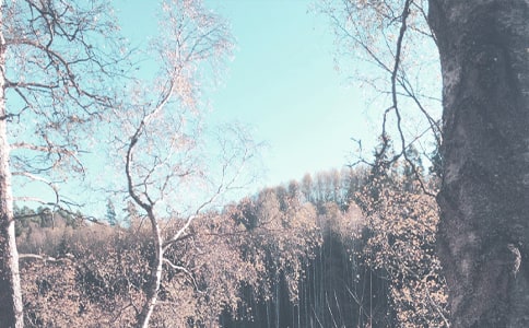 С�W(xu��)�＾�W(xu��)�ڽ̌W(xu��)����Ӌ(j��)��