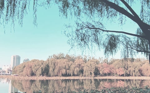 ����Ʒ���＾����Ӌ(j��)���R��6ƪ