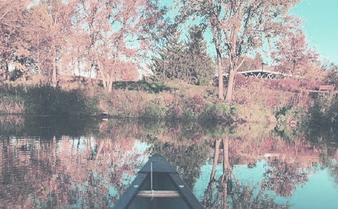 �ЌW�＾�W�ڶ����ҹ���Ӌ��