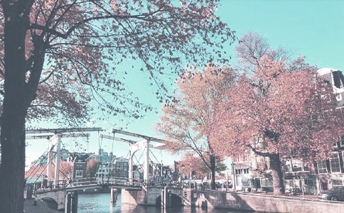 ���P(gu��n)�＾�W(xu��)�ڽ̌W(xu��)������˼