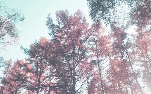 С�W�＾����Ӌ������