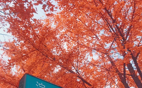 ���Ց����ɢ��