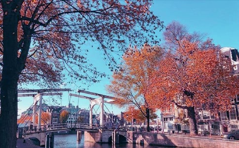 秋日即景散文隨筆