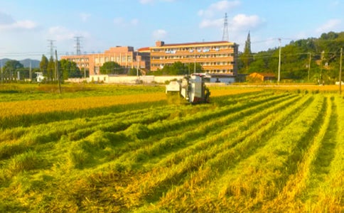 �����r(n��ng)���_չ���չ������󣨾��x17ƪ��