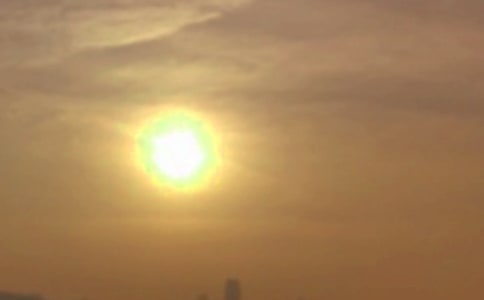 �P(gu��n)����������11ƪ