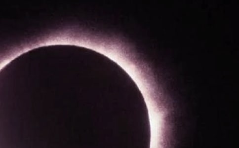 С�W(xu��)���꼉����600�֣��������ʳ