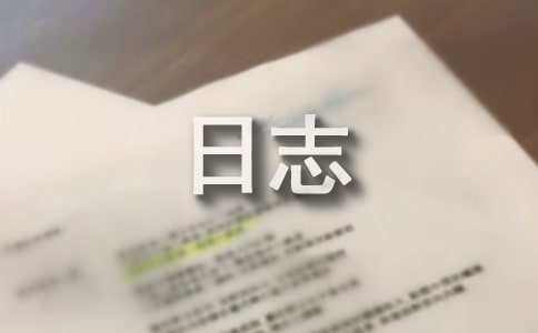 對于工作日志持續(xù)改進的初步意見