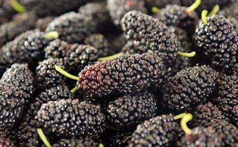 �茑ɣ�ص��İ��̾�