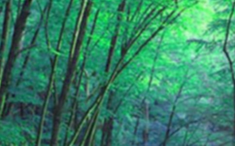 ɭ�ַ������R��(b��o)(ͨ��15ƪ)