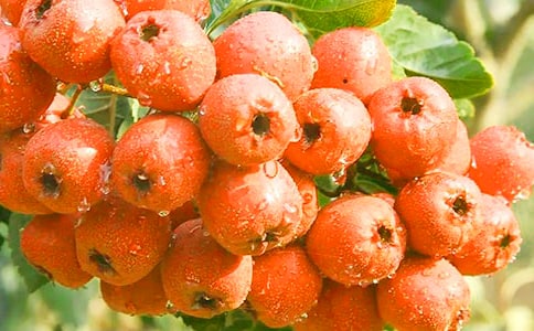 ɽ高��еĽ����_�~