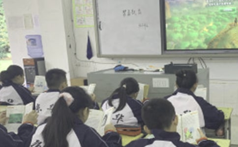 �P(gu��n)�����n�t���zӑ�����ģ����x8ƪ��