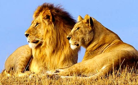 ������桶С�{�ӡ��f�n��