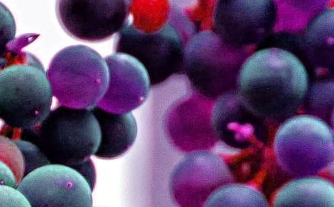 С��ˮ�����Z�Ի�ӽ̰������x10ƪ��