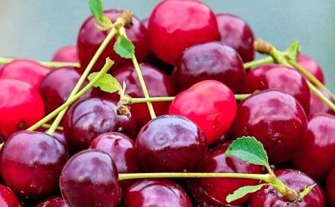 �r(n��ng)�I(y��)ˮ���Nֲ��(chu��ng)�I(y��)Ӌ(j��)����