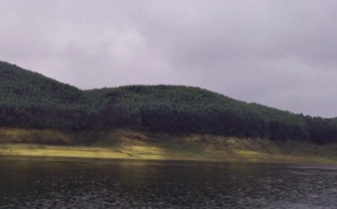 水庫管理處工作總結(jié)